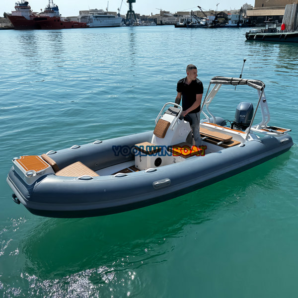 460 Luxury Aluminum Boat RIBs for Tender Boat